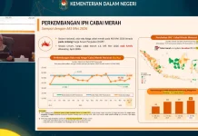 BPS: Harga Cabai Merah Naik, Masih di Rentang HAP