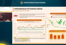 BPS: Harga Bawang Merah Naik, Lampaui Harga Acuan Penjualan