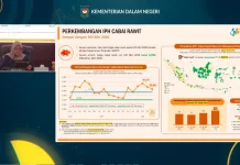 BPS: Harga Cabai Rawit Turun, Tapi Masih di Atas HAP
