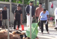 Makna Iduladha 1447 H bagi Bulog, Teguhkan Semangat Kurban untuk Ketahanan Pangan