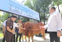 Kejagung Serahkan Puluhan Hewan Kurban Sambut Iduladha