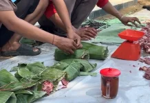 Menag: Momen Iduladha Jadi Refleksi untuk Perkuat Kepedulian terhadap Lingkungan
