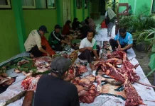 Cegah Pencemaran Lingkungan, Penanganan Limbah Kurban Harus Ditangani Khusus