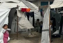 Iduladha di Gaza Dibayangi Perang, Tidak Menyembelih Hewan Kurban