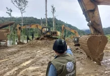 Kemenhut Tetapkan Empat WNA Tiongkok Tersangka Tambang Ilegal di Nabire