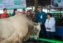 Dharma Jaya Dorong Rumah Potong Modern di Seluruh Jakarta