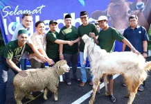 LPDB Koperasi Berbagi lewat Penyaluran Hewan Kurban