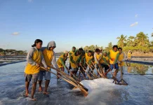 Garam Raijua Dilirik, Produksi Bersih Dukung Swasembada
