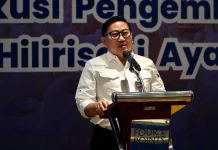 Bone Jadi Percontohan Hilirisasi Ayam Nasional