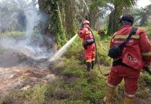 Cuaca Ekstrem Picu Karhutla, Tim Gabungan Kebut Padamkan Api di Riau