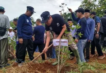 JAI Tanam Puluhan Ribu Pohon Kopi Dorong Ekonomi Warga Cianjur