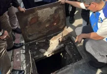 Infrastruktur Antisipasi Banjir Tol Bandara Soetta Diperkuat
