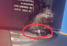 Simak Klarifikasi, Sederet Fakta Baling-Baling Wings Air Pakai Pengikat Kabel