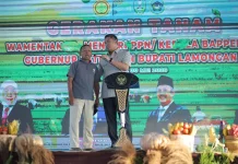 Stok Beras RI Tembus Aman untuk Hadapi El Nino