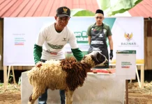 BAZNAS-Alfamart Distribusikan Paket Daging Kurban hingga ke Desa Terpencil