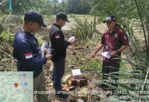 Gakkum Kehutanan Tangkap 2 Pelaku Illegal Logging di Hutan Lindung Lampung