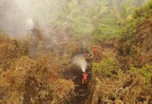 Manggala Agni Intensifkan Pemadaman Karhutla di Pelalawan Riau