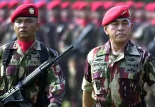 Rangkuman Biodata hingga Rekam Jejak Karier Militer Mendiang Ryamizard Ryacudu