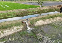 Kementan Perkuat Pengawalan Sentra Pangan Merauke Jaga Produktivitas Pertanian