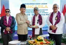 Wings Air Resmi Layani Rute Penerbangan Surabaya Jember