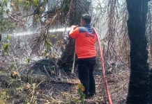 Polda Aceh Buru Pelaku Pembakaran Karhutla di Sejumlah Wilayah