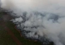 Karhutla Aceh Barat Hanguskan 13 Hektare Lahan