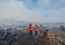 BNPB Catat Karhutla Terjadi di Tiga Kabupaten di Wilayah Aceh