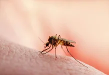 Temuan Peningkatan Malaria Cerminkan Surveilans Membaik