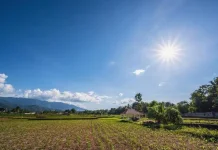 BMKG: 200 Zona Musim Indonesia Resmi Masuk Kemarau, Ini Rincian Wilayahnya