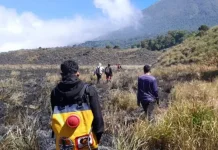 Karhutla di Savana Rinjani Berhasil Dipadamkan, BNPB Imbau Patroli Diperketat
