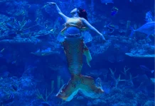 BXSea Dorong Edukasi Laut dan Konservasi Berkelanjutan