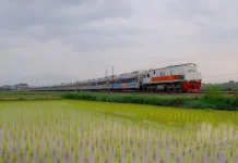 KAI Operasikan 39 Trainset Baru Bernilai Triliunan Rupiah