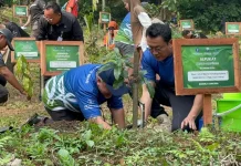 Wamen LH Dorong Kampus Perbanyak Ruang Hijau