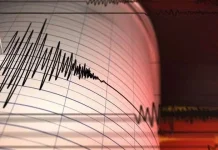 Tidak Potensi Tsunami, Gempa Bumi Magnitudo 5,3 Guncang Maluku Barat Daya