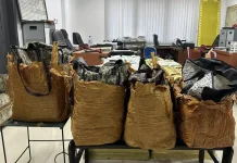 Polda Sumut Gagalkan Penyelundupan 113 Kilogram Sabu Asal Malaysia