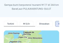 Lima Wilayah Masuk Peringatan Dini Tsunami BMKG Pascagempa M7,7, Ini Daftarnya