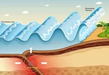 Potensi Tsunami, Apa Penyebab Utama Gempa Magnitudo 7,7 Sulut? Ini Jawaban BMKG