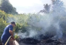 Padamkan Karhutla di Aceh Barat, BNPB Lanjutkan Operasi Modifikasi Cuaca