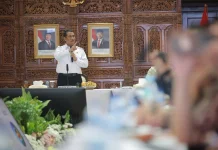Pemerintah Pulihkan 9.931 Hektare Sawah di Sumatra