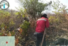 Karhutla 108 Hektare di Pulau Rupat Riau Berhasil Dipadamkan