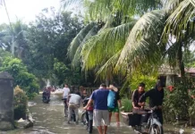 BNPB: 2.706 KK Terdampak Banjir di Langkat Didampingi Petugas