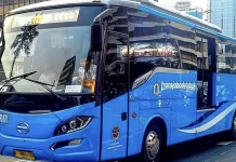 MTI Soroti Dampak Penyesuaian Tarif Transjabodetabek bagi Penumpang
