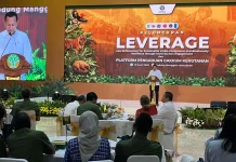 Rp236 Miliar Digelontorkan, Sumatra Jadi Prioritas Penyelamatan Hutan
