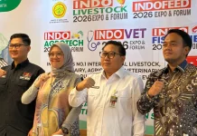 Indo Livestock 2026 Hadirkan Paviliun Ekspor Peternakan