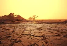 El Nino Ancam Asia Tenggara, Krisis Pangan dan Inflasi Diperkirakan Meningkat