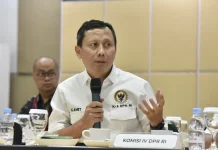 DPR Dorong Sosialisasi Diversifikasi Pangan Berbasis Komoditas Lokal