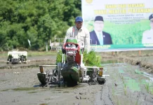 Mengapa Ketahanan Pangan Jadi Prioritas Presiden? Ini Penjelasan Wamentan
