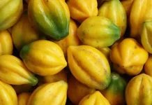 Ketahui Kandungan Carica, Buah Khas Dieng yang Kaya Manfaat bagi Kesehatan