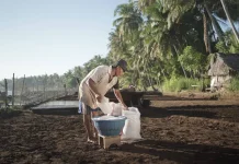 Desa Les Bali Kembangkan Wisata Berbasis Masyarakat dan Pelestarian Lingkungan