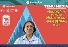 Kemenkes Targetkan Nol Kematian DBD pada 2030
